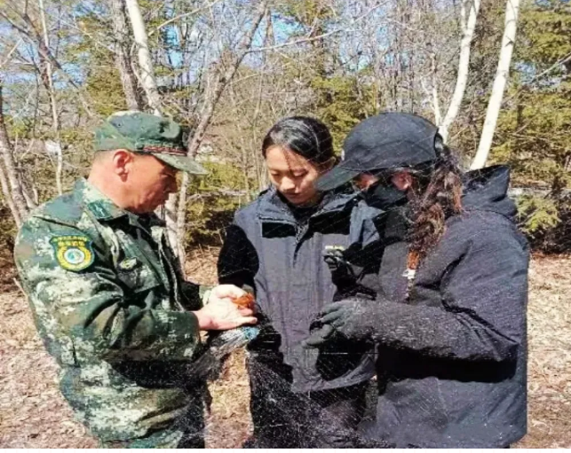 �򲩡�max(�й���)�����ٷ���վ-Unique Platform