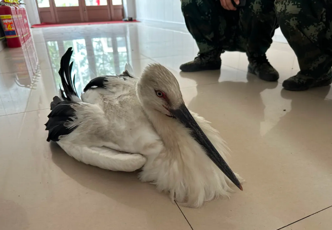 �򲩡�max(�й���)�����ٷ���վ-Unique Platform