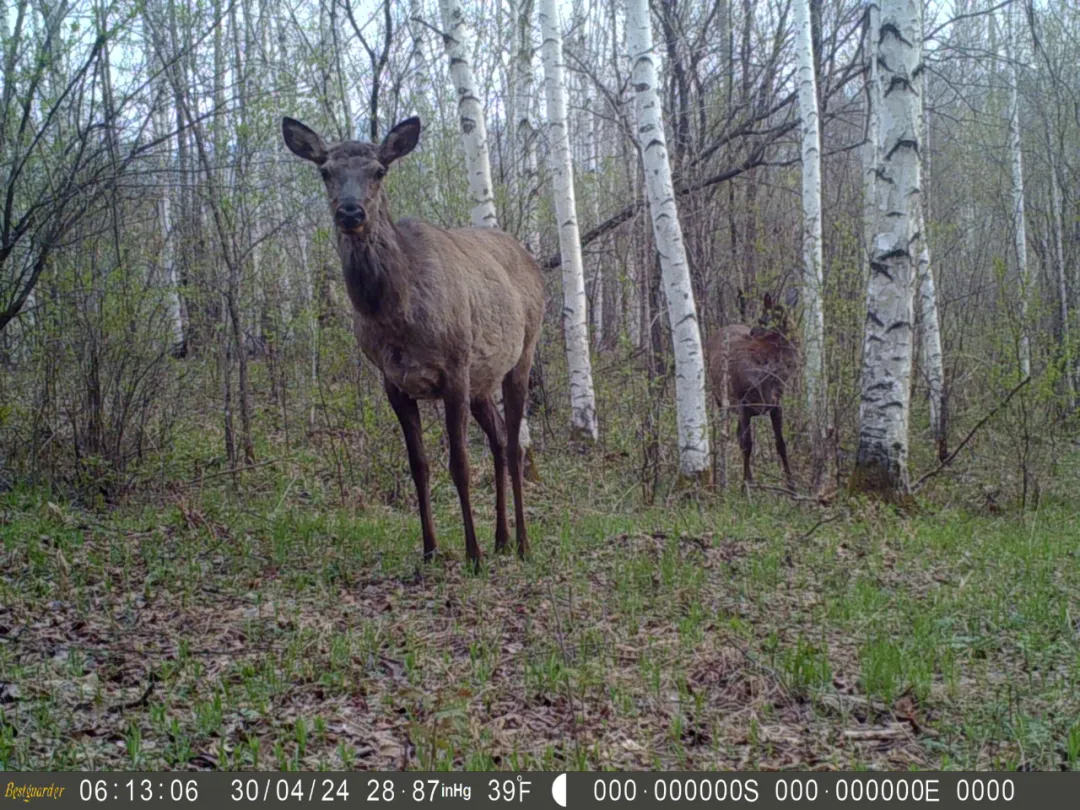 �򲩡�max(�й���)�����ٷ���վ-Unique Platform