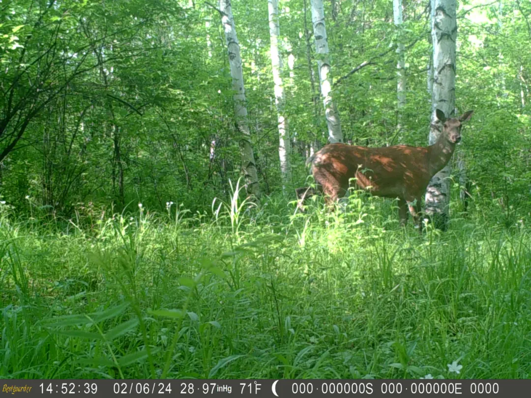 �򲩡�max(�й���)�����ٷ���վ-Unique Platform