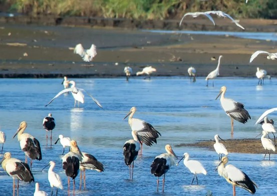 �򲩡�max(�й���)�����ٷ���վ-Unique Platform