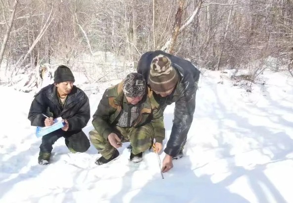 �򲩡�max(�й���)�����ٷ���վ-Unique Platform