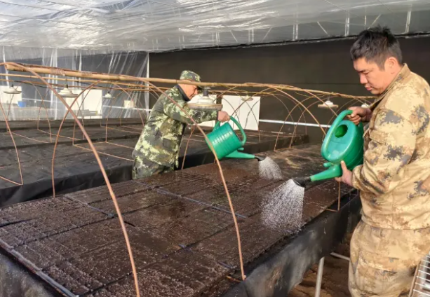 �򲩡�max(�й���)�����ٷ���վ-Unique Platform