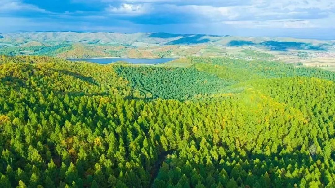 �򲩡�max(�й���)�����ٷ���վ-Unique Platform