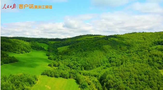 �򲩡�max(�й���)�����ٷ���վ-Unique Platform