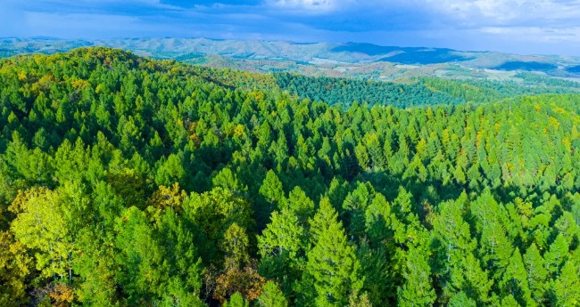 �򲩡�max(�й���)�����ٷ���վ-Unique Platform