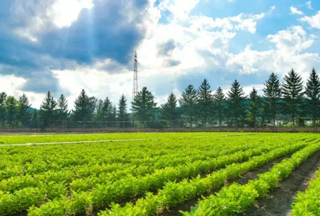 �򲩡�max(�й���)�����ٷ���վ-Unique Platform