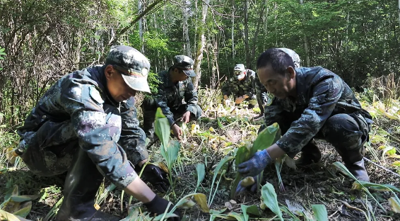 �򲩡�max(�й���)�����ٷ���վ-Unique Platform