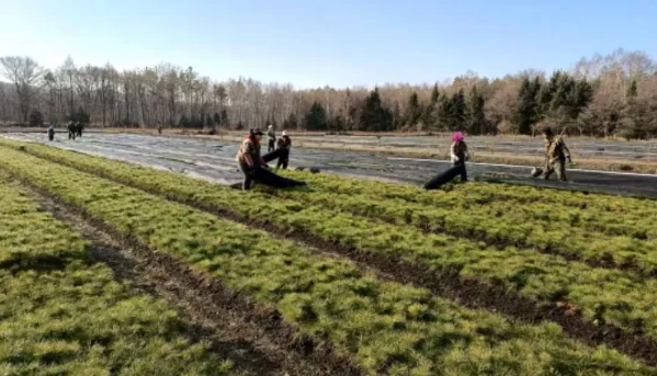 �򲩡�max(�й���)�����ٷ���վ-Unique Platform