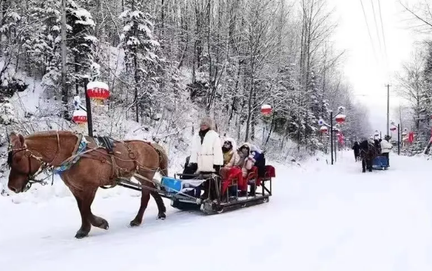 �򲩡�max(�й���)�����ٷ���վ-Unique Platform