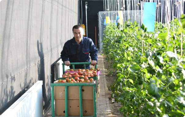 �򲩡�max(�й���)�����ٷ���վ-Unique Platform