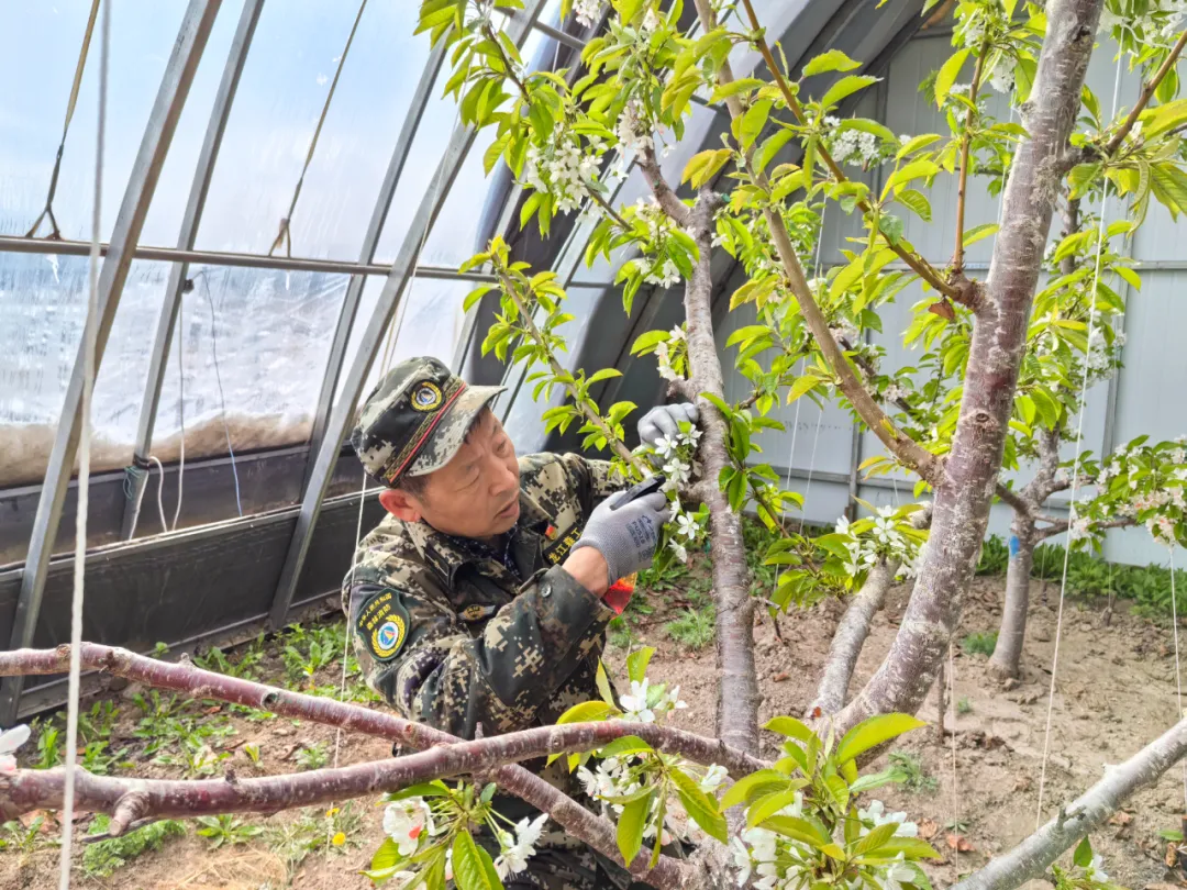 �򲩡�max(�й���)�����ٷ���վ-Unique Platform