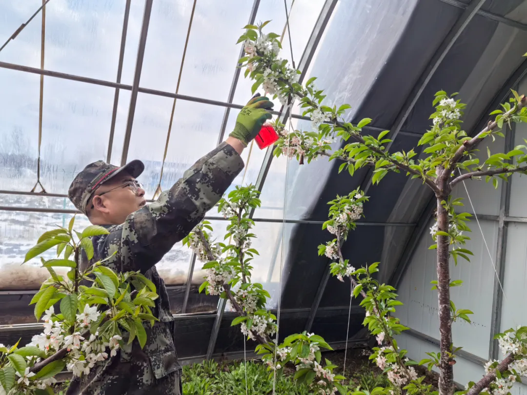 �򲩡�max(�й���)�����ٷ���վ-Unique Platform