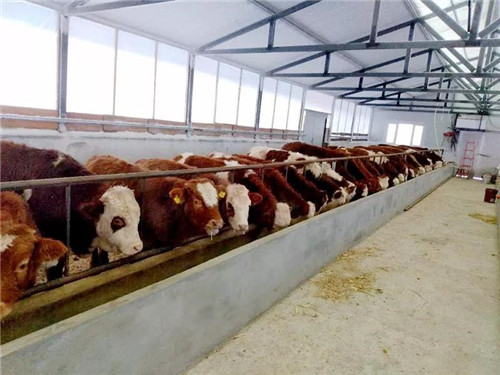 �򲩡�max(�й���)�����ٷ���վ-Unique Platform