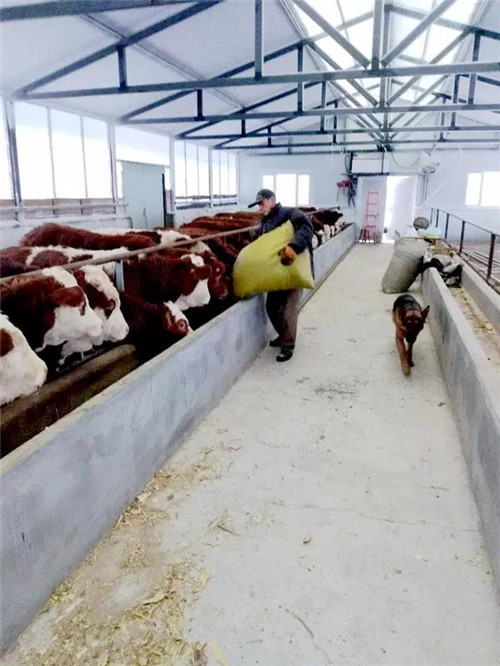 �򲩡�max(�й���)�����ٷ���վ-Unique Platform