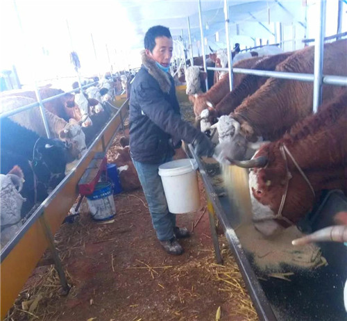 �򲩡�max(�й���)�����ٷ���վ-Unique Platform