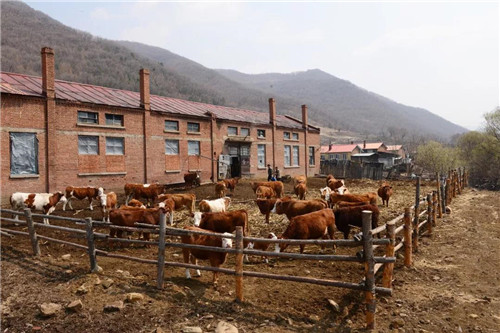 �򲩡�max(�й���)�����ٷ���վ-Unique Platform