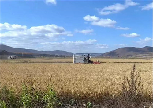 �򲩡�max(�й���)�����ٷ���վ-Unique Platform