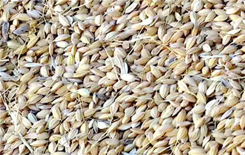 �򲩡�max(�й���)�����ٷ���վ-Unique Platform