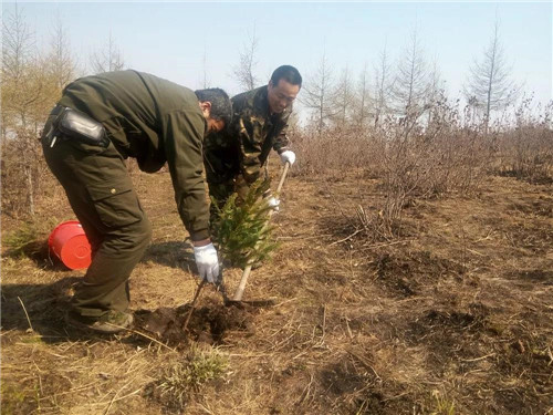 �򲩡�max(�й���)�����ٷ���վ-Unique Platform