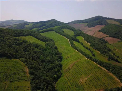 �򲩡�max(�й���)�����ٷ���վ-Unique Platform