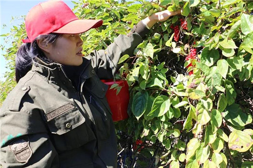 �򲩡�max(�й���)�����ٷ���վ-Unique Platform