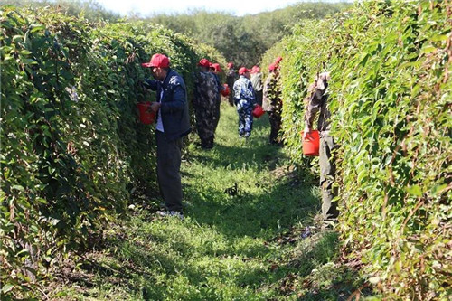 �򲩡�max(�й���)�����ٷ���վ-Unique Platform