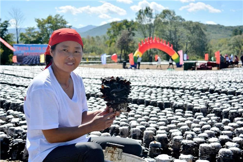 �򲩡�max(�й���)�����ٷ���վ-Unique Platform