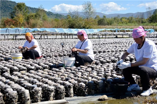 �򲩡�max(�й���)�����ٷ���վ-Unique Platform