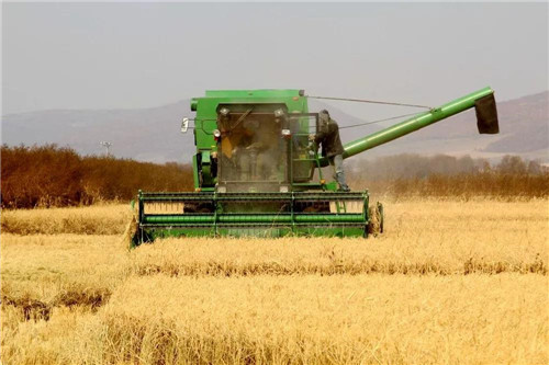 �򲩡�max(�й���)�����ٷ���վ-Unique Platform