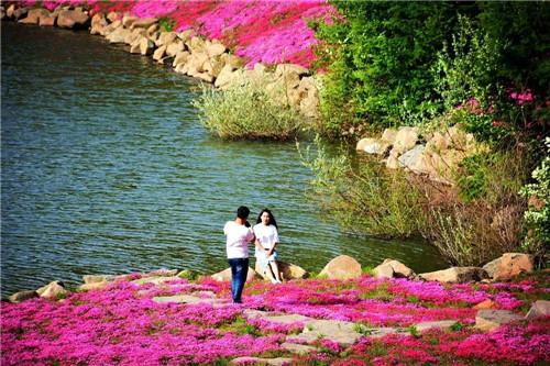 �򲩡�max(�й���)�����ٷ���վ-Unique Platform