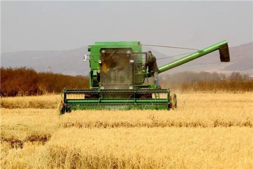 �򲩡�max(�й���)�����ٷ���վ-Unique Platform