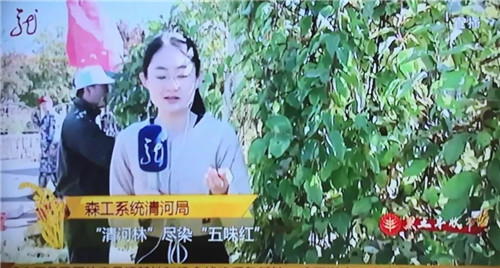 �򲩡�max(�й���)�����ٷ���վ-Unique Platform