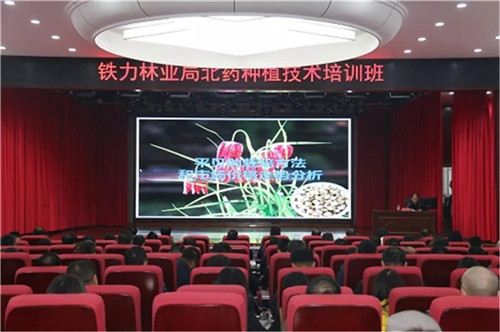 �򲩡�max(�й���)�����ٷ���վ-Unique Platform