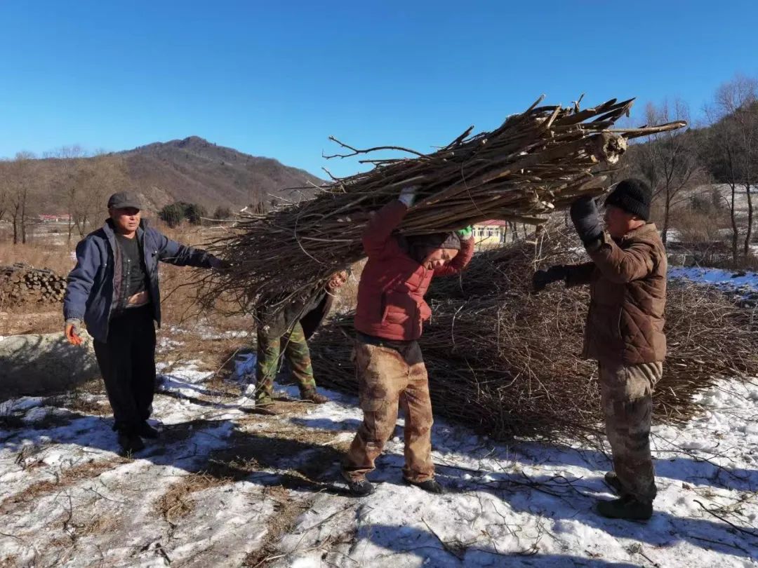 �򲩡�max(�й���)�����ٷ���վ-Unique Platform