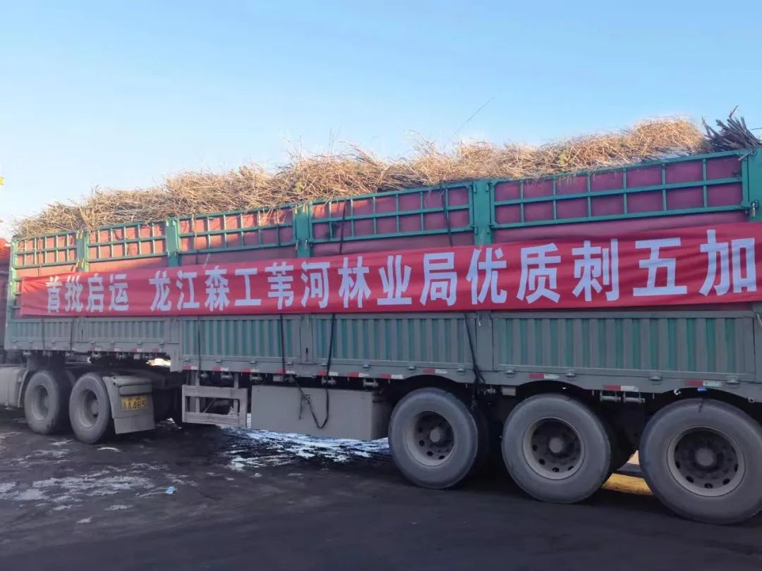 �򲩡�max(�й���)�����ٷ���վ-Unique Platform