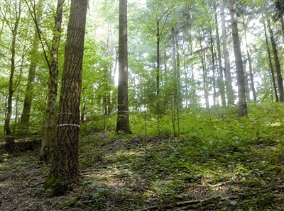 �򲩡�max(�й���)�����ٷ���վ-Unique Platform